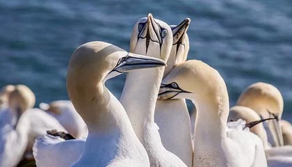 世界杯半决赛时间-费纳领衔球员工会德约缺席 ATP分裂恐愈演愈烈